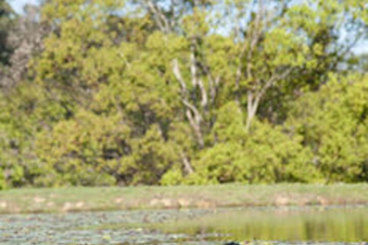 Property Grounds 17 of 30