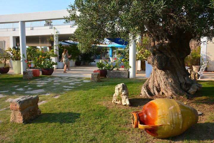Hotel Exterior 3 of 43