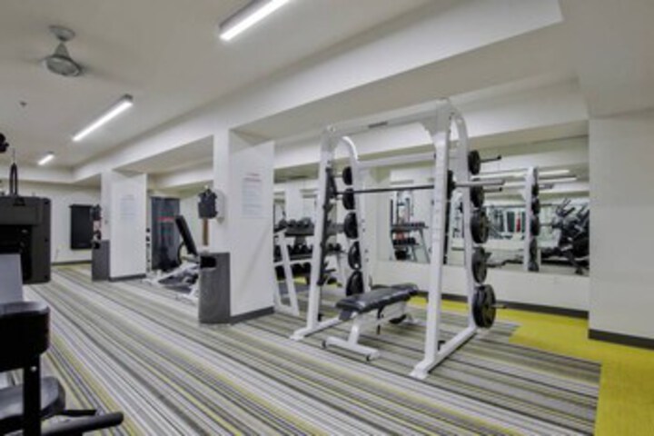 Health and Fitness 54 of 328