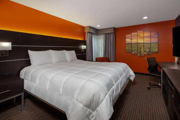 1 King Bed (10 of 12)