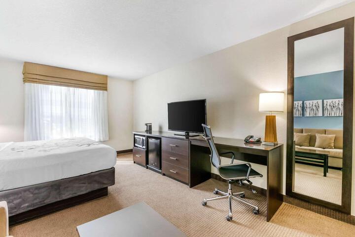 1 King Bed Mobility Accessible (11 of 29)