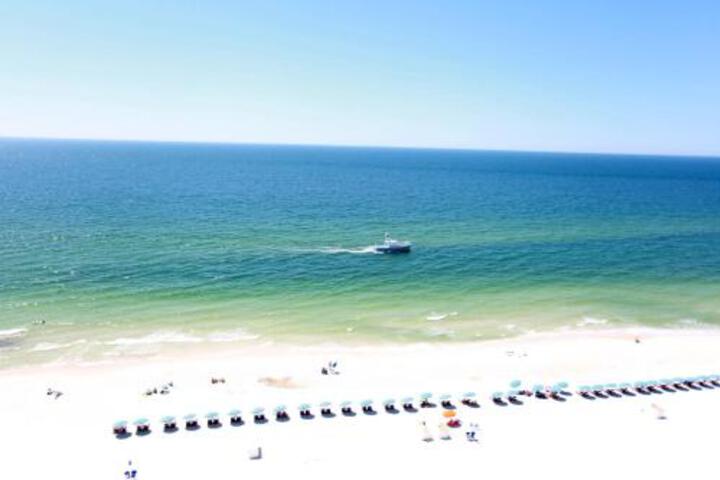 General 24 of 50