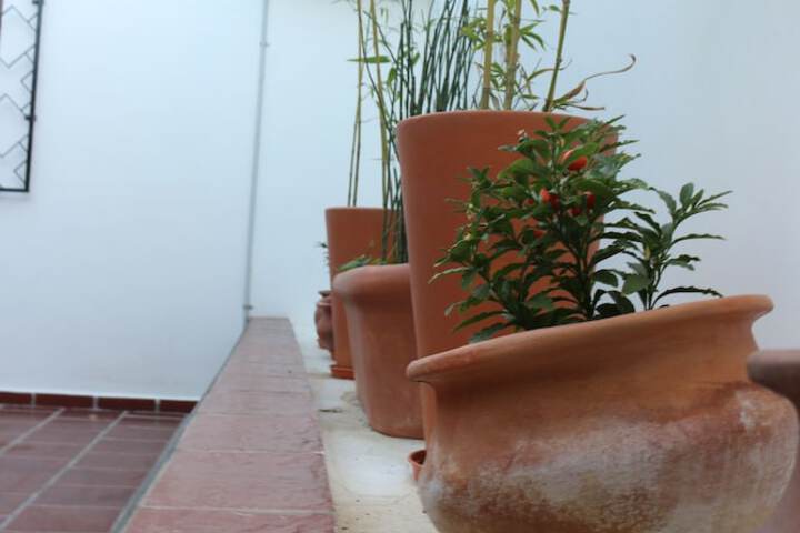 Terrace/Patio 41 of 45