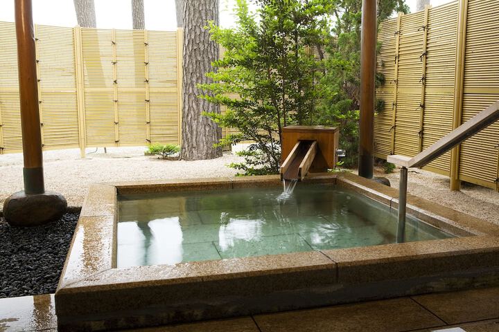 Wellness Treatments