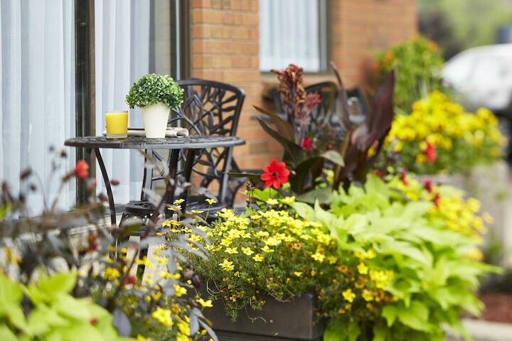 Terrace/patio
