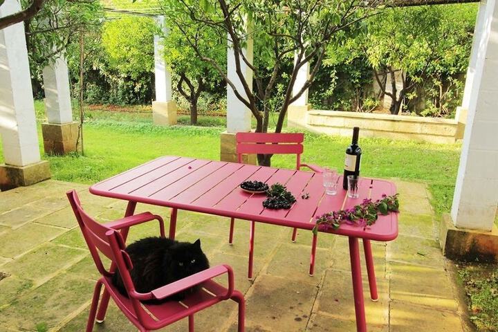 Terrace/Patio 22 of 47