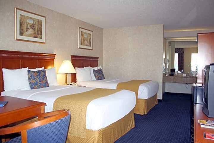 Suite Room