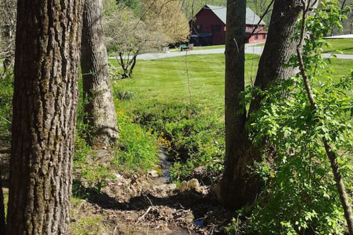 Property Grounds 38 of 63