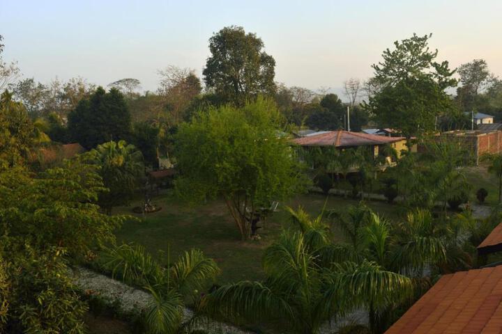 Photo 20