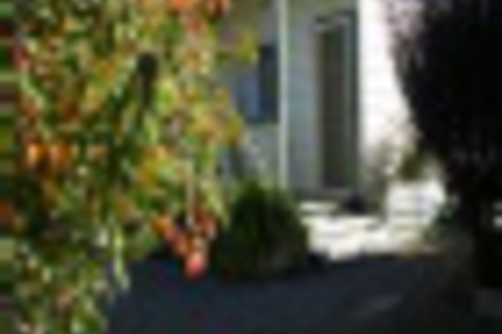 Terrace/Patio 15 of 406