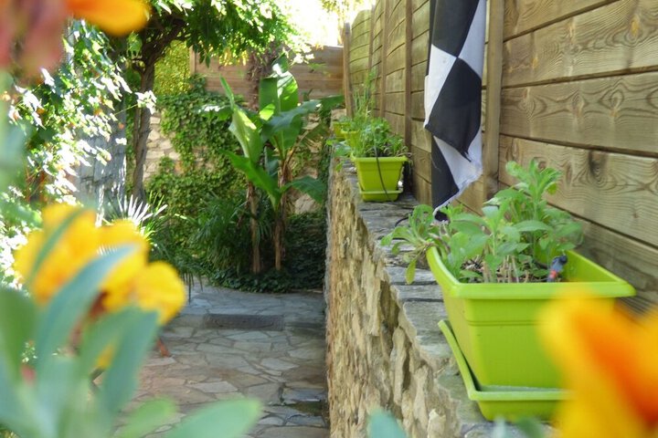 Photo 19