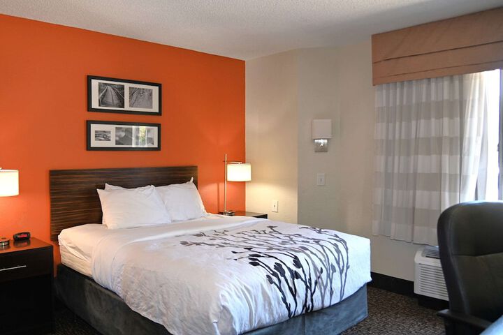 Queen Bed Accessible (11 of 12)