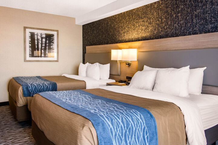 2 Queen Beds (3 of 9)