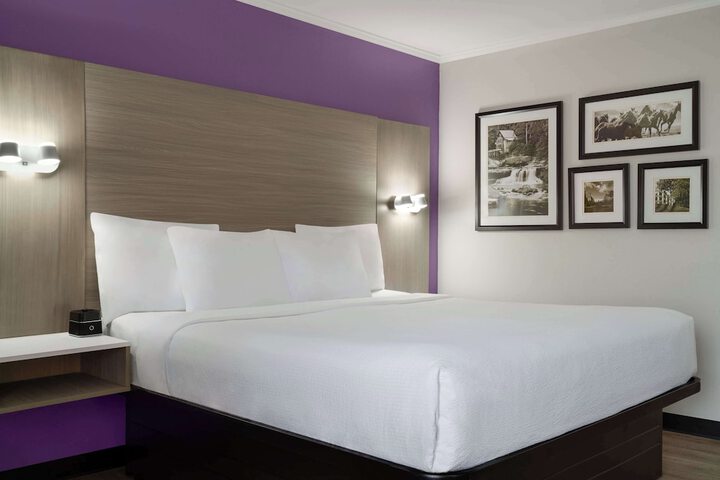 1 King Bed (1 of 5)