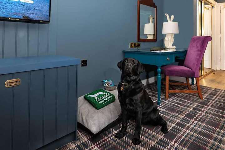 Pet Friendly 37 of 55