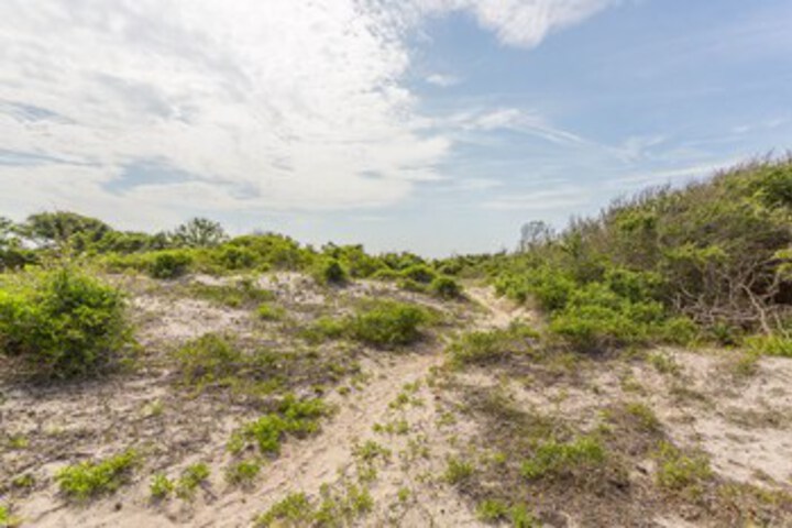 Property Grounds 71 of 77