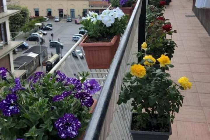 Terrace/Patio 33 of 57