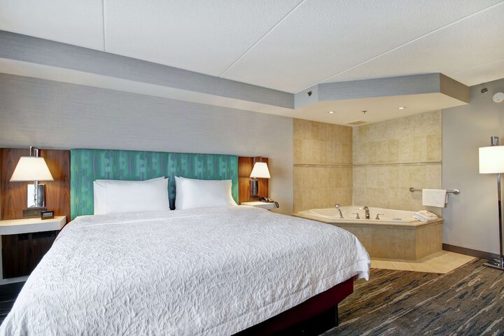 1 King Bed Studio Suite with Sofa Bed (9 of 18)