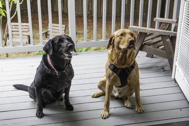 Terrace/Patio 44 of 84