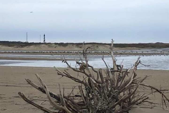 Beach 60 of 113
