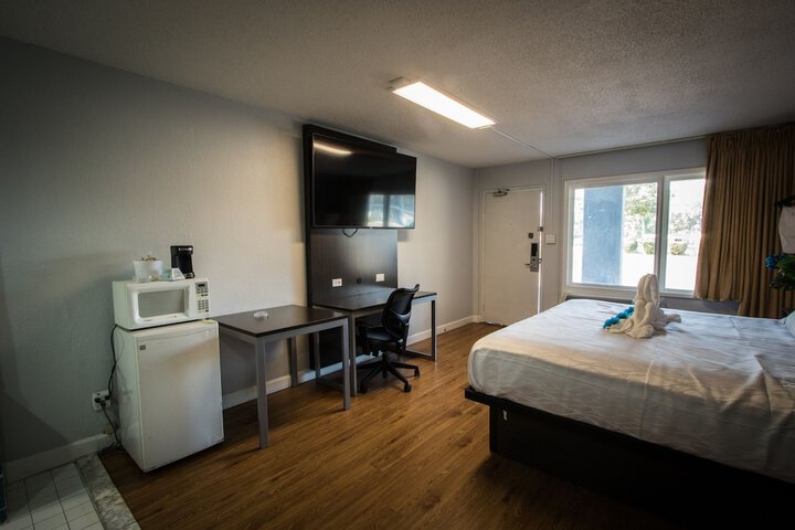 1 King Bed Pet Friendly Accessible (2 of 90)