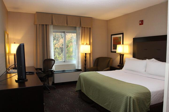 1 King Bed Accessible Communications (6 of 8)