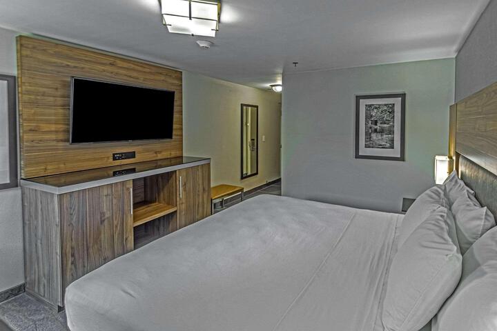 1 King Bed (18 of 29)