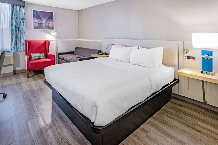 1 King Bed (12 of 19)