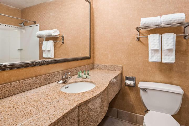 1 King Bed Microwave and Refrigerator WiFi Full Breakfast (7 of 17)