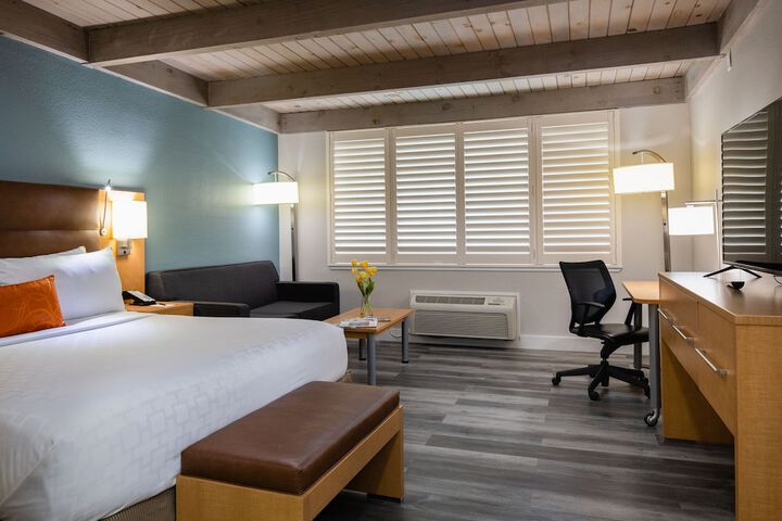 1 King Bed (16 of 19)