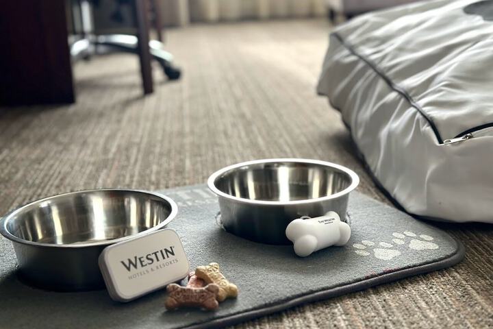 Pet-friendly