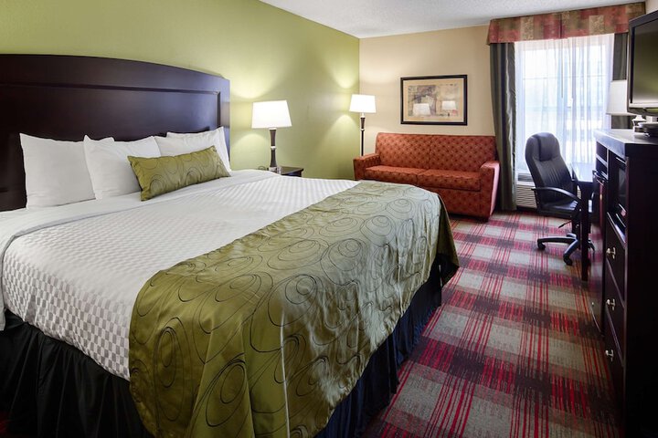 1 King Bed (12 of 15)