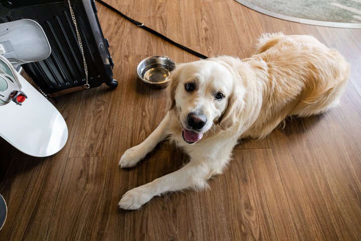 Pet Friendly 22 of 68