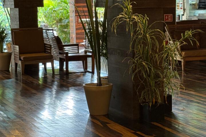 Guest Lobby