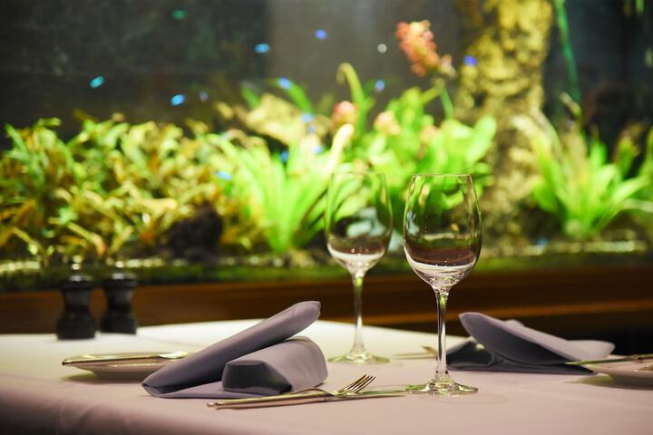 Dining 40 of 61