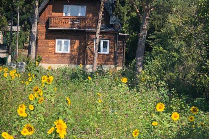 Vacationhome in the vineyards