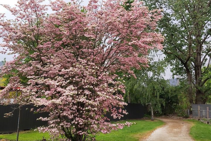 Property Grounds 23 of 38