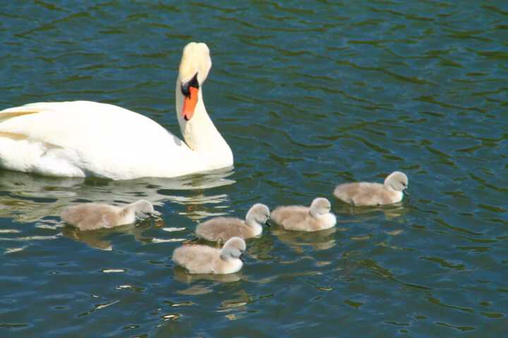 Hotel Pool