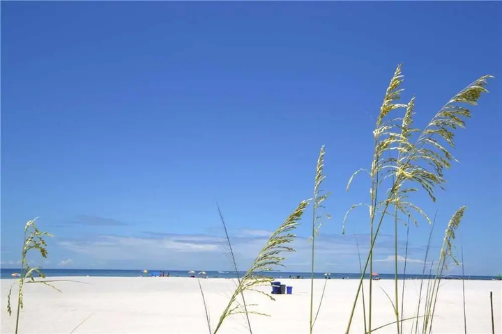 Beach 9 of 16