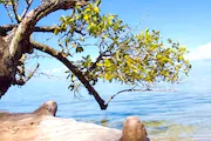 Hotel View 151 of 153