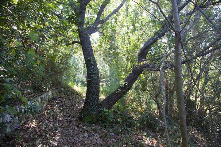 Property Grounds 60 of 74