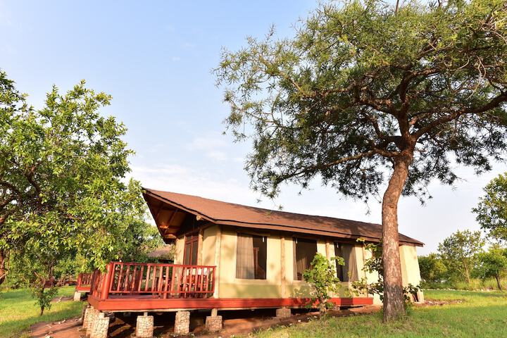 Elephant Rock Luxury Camp Tarangire