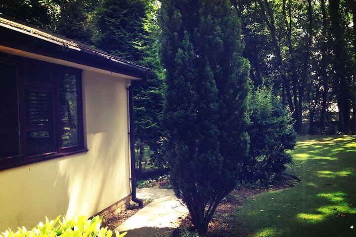 Property Grounds 56 of 67