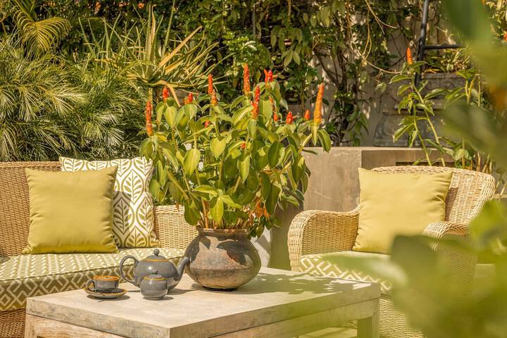Terrace/Patio 52 of 55