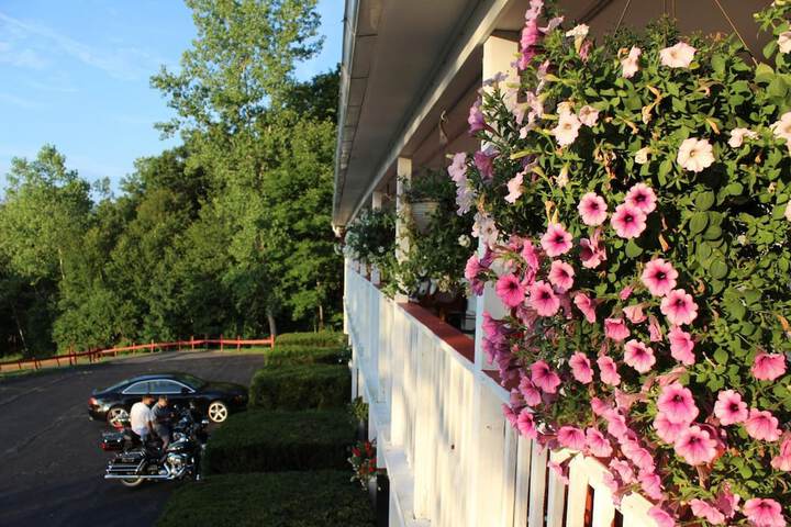 Property Grounds 8 of 16