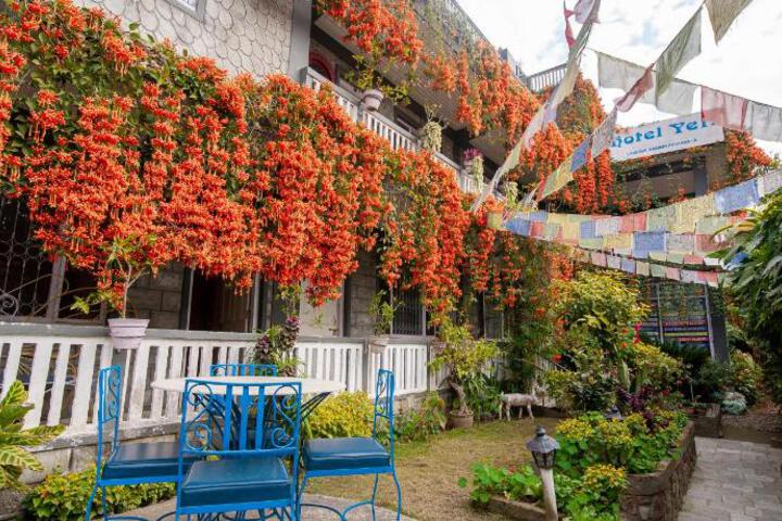 Spa and Wellness Pictures