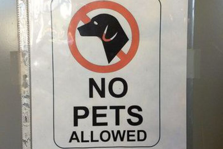 Pet Friendly 23 of 28