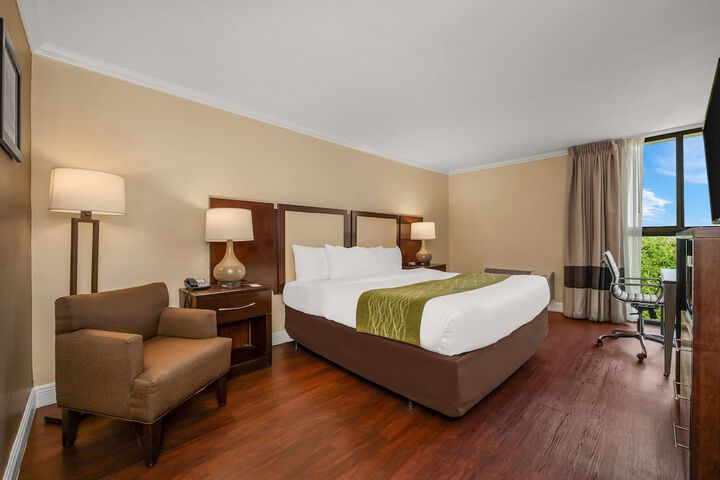 Standard King Bed City View (7 of 11)