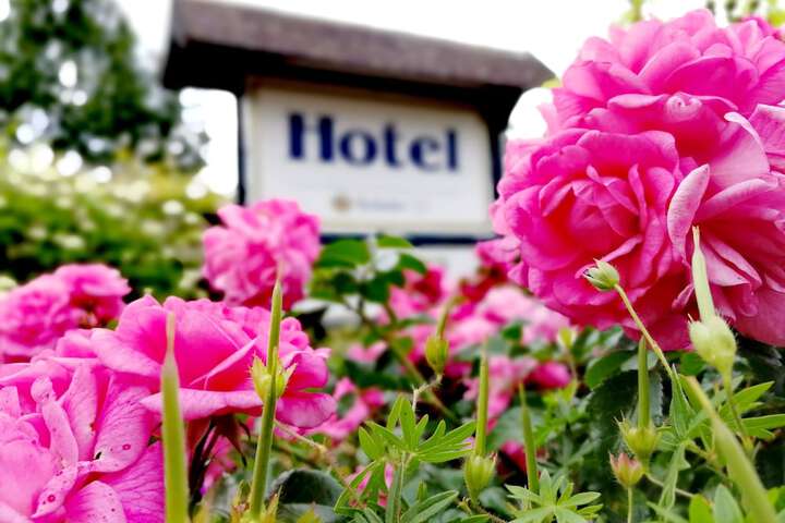 Hotel Exterior 28 of 34