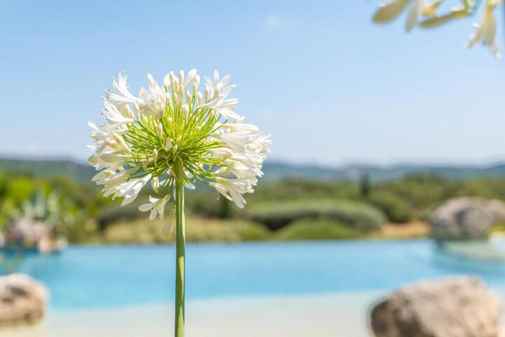 Spa and Wellness Pictures